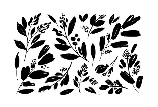 Plant branches with small leaves black paint vector illustrations set. Set of black silhouettes leaves and twigs. Hand drawn eucalyptus foliage, herbs, tree branches. Ink elements isolated on white.
