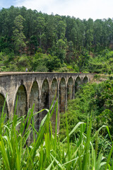 Fototapeta na wymiar Nine arches Bridge in highlands near Ella, Sri Lanka. Jungle and tea plantation all around.