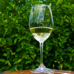 White wine in a glass on green leaves background. Space for text. Wine concept.