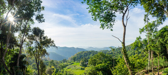 Panoramic view of green forest in the morning, Ella, Sri Lanka. Sunstar in the blue sky