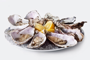 plate with fresh mussels and lemon on a gray background