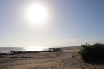 Fototapeta na wymiar Spring on the Emerald Coast, La Balconada beach, La Paloma Municipality, Rocha Department, Uruguay