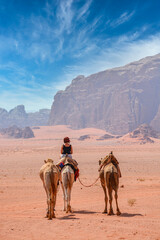 Fototapeta premium Female tourist riding a camel in the Wadi Rum desert 
