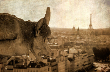 Gargoyle of Notre Dame and Paris skyline, France