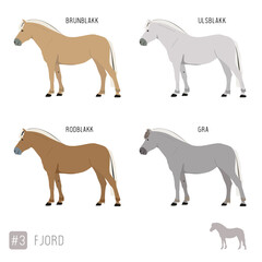 Horse Breeds: Set of Vector Fjord Ponies