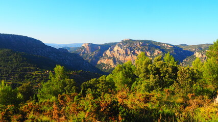 Colorful rugged mountains and pine trees with blue sky background