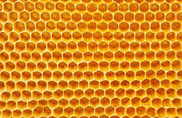 Background texture and pattern of wax honeycombs from a bee hive. Hexagon background texture.
