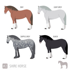 Horse Breeds: Set of Vector Shire Horses