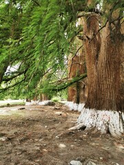 Lugar Magico en Allende Coahuila MEXICO
