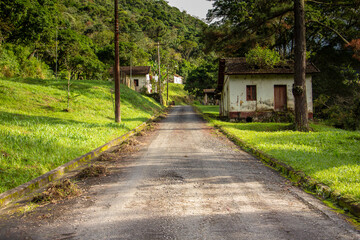 Country road in the village