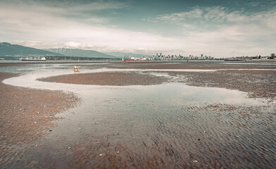 Low tide with the city view in background