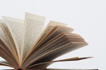 extended sheets of old book