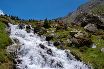 high mountain landscape with a rushing river in the pyrenees