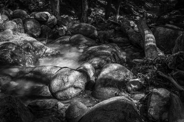 An abstract black and white photo of a mountain stream.  - 363389329