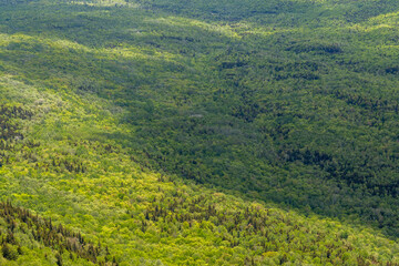 An aerial view of a vast forest in Maine.  - 363389561