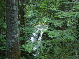 chutes