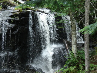 chutes
