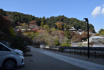 長谷寺石畳