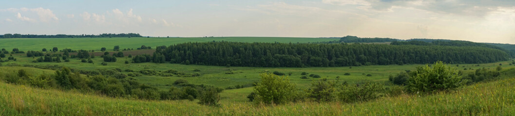 Fototapeta na wymiar fields in the summer in the Russian hinterland