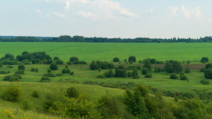 fields in the summer in the Russian hinterland