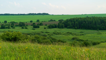 fields in the summer in the Russian hinterland