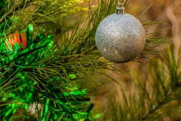 Christmas ornament hanging on pine tree