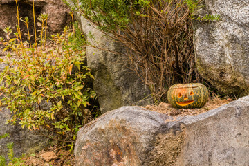 Jack-O-Lantern sitting on large boulder