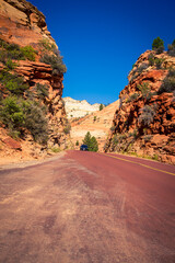 roadway in Zion Canyon  Utah