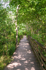 A wooden walking bridge in Frick Park on a sunny summer day, Pittsburgh, Pennsylvania, USA