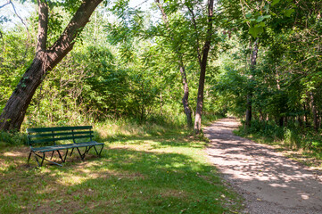 A wooden park bench next to a hiking path in Frick Park on a sunny summer day, Pittsburgh, Pennsylvania, USA
