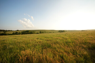 Kansas field of grass and sky - Powered by Adobe