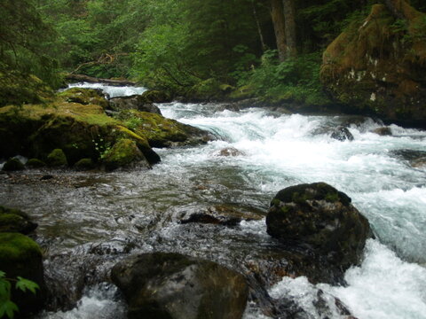 Rocks in the river