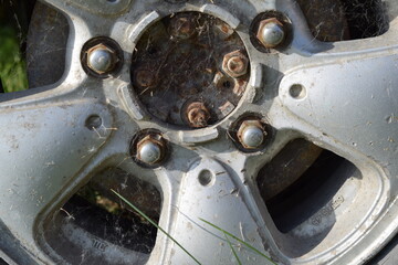 a spider has spun a web in the wheel of a car