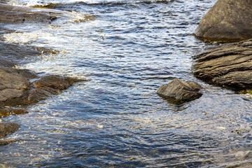 rocks in the water