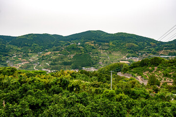 山頂付近まで続く日本の農村風景　長崎県西彼杵郡長与町本川内