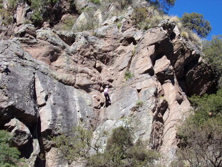 KODAK Digital Still Camera