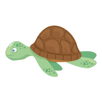 sea underwater life, tortoise on white background vector illustration design