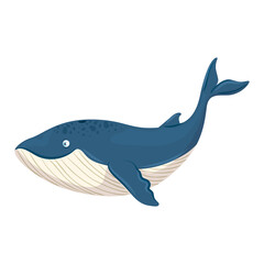 sea underwater life, blue whale animal on white background vector illustration design