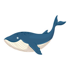 Obraz premium sea underwater life, blue whale animal on white background vector illustration design