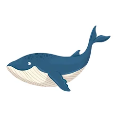 Foto op Canvas sea underwater life, blue whale animal on white background vector illustration design © Gstudio