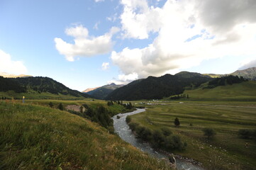 A valley with a mountain river and grazing animals. Territory near the Khan Tengri mountain range.