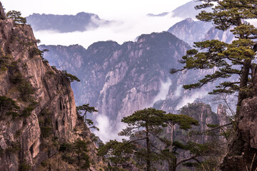 Wonderful and curious sea of clouds and beautiful Huangshan mountain landscape in China.