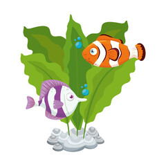 sea underwater life, fishes with seaweed on white background vector illustration design