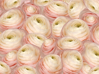 Floral pink-yellow background. A bouquet of  roses  flowers.  Close-up.  Flower composition. Nature.