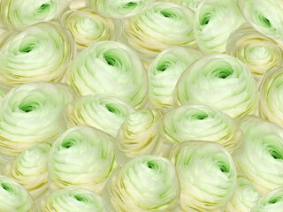 Floral  yellow-green  background. A bouquet of  roses  flowers.  Close-up.  Flower composition. Nature.