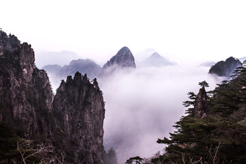 Wonderful and curious sea of clouds and beautiful Huangshan mountain landscape in China.