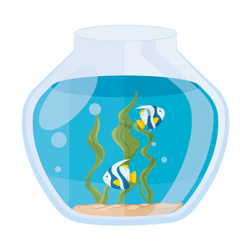 aquarium fishes with water, seaweed, aquarium marine pet vector illustration design