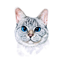 Watercolor illustration of a funny cat. Hand made character. Popular cat breeds.	
