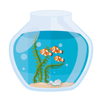 aquarium clownfishes with water, seaweed, aquarium marine pet vector illustration design