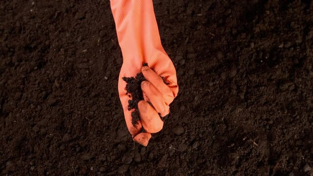 Scientist testing rich soil outdoors